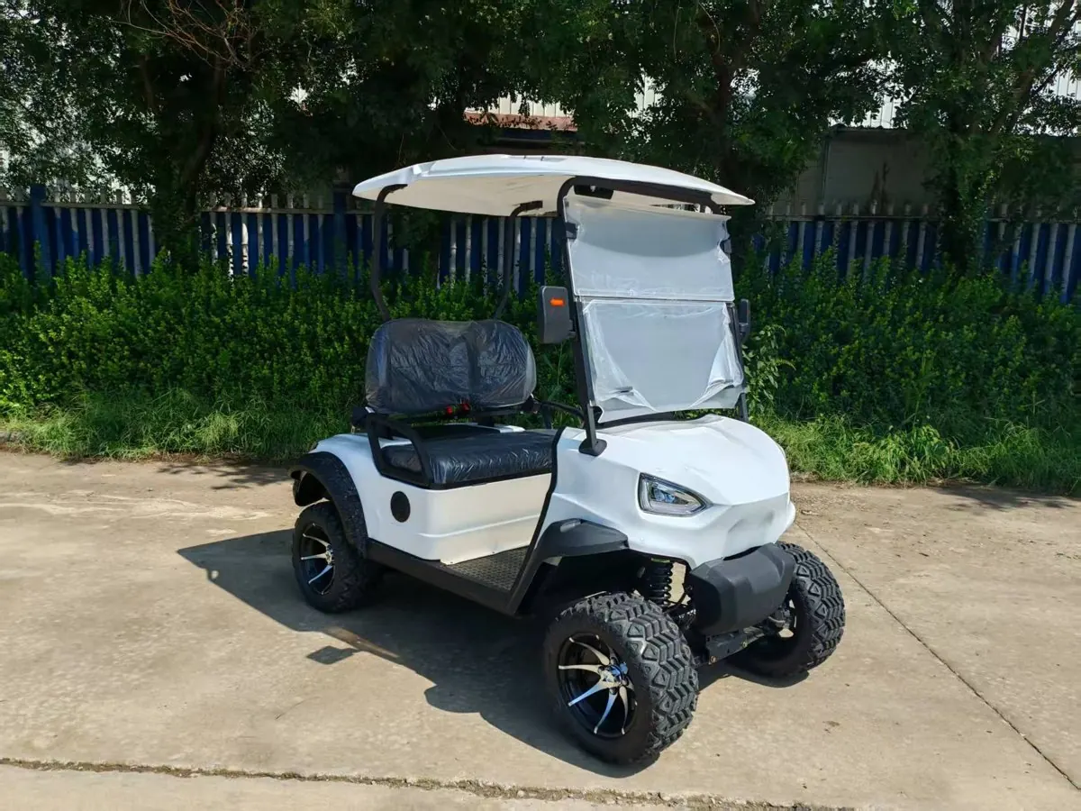 B Series Single-Row 2-Seat Golf Cart