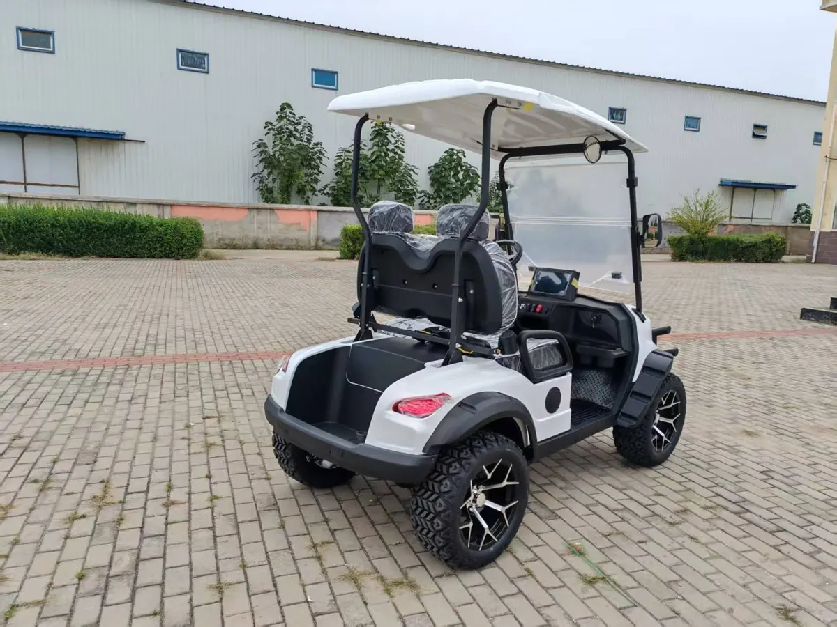 D Series Single-Row 2-Seat Golf Cart