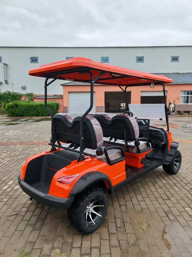 D Series Two-Row 4-Seat Golf Cart
