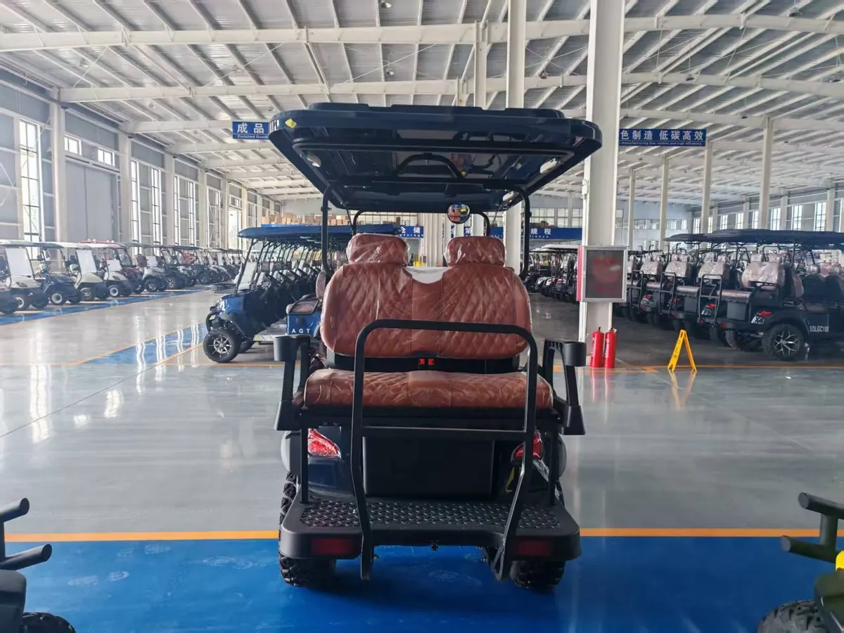D Series 1+1 Row 4-Seat Golf Cart - Photo Variant 2