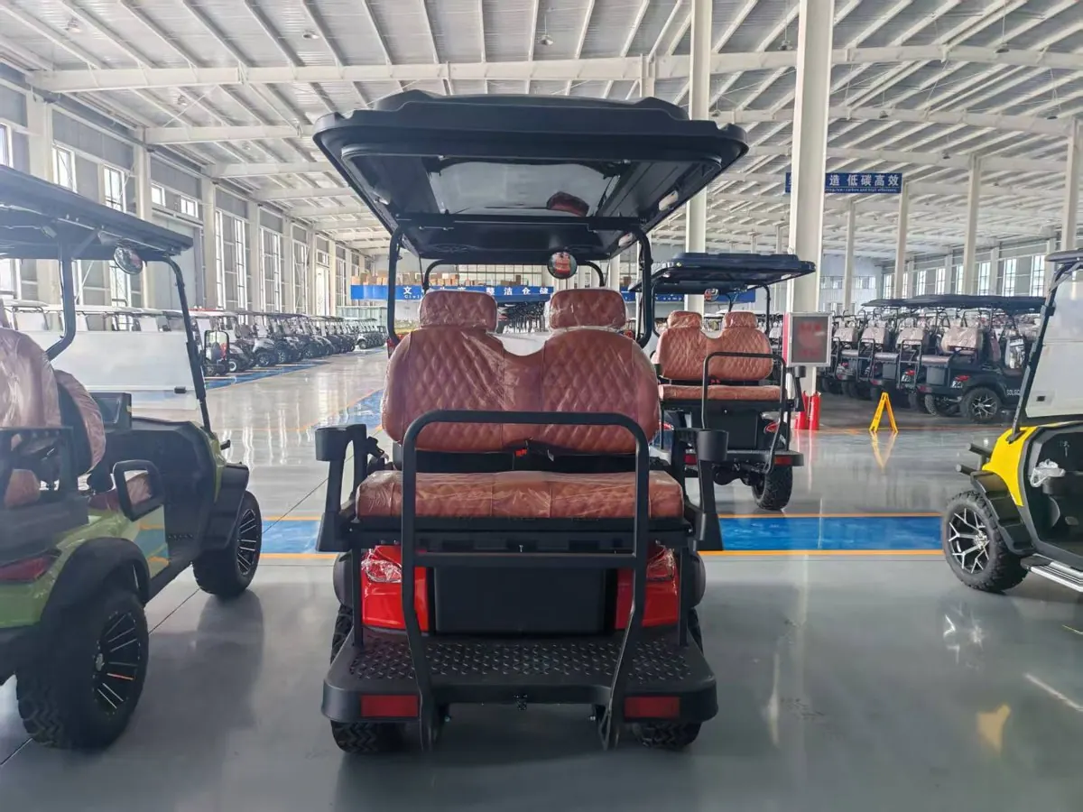 D Series 1+1 Row 4-Seat Golf Cart - Photo Variant 3