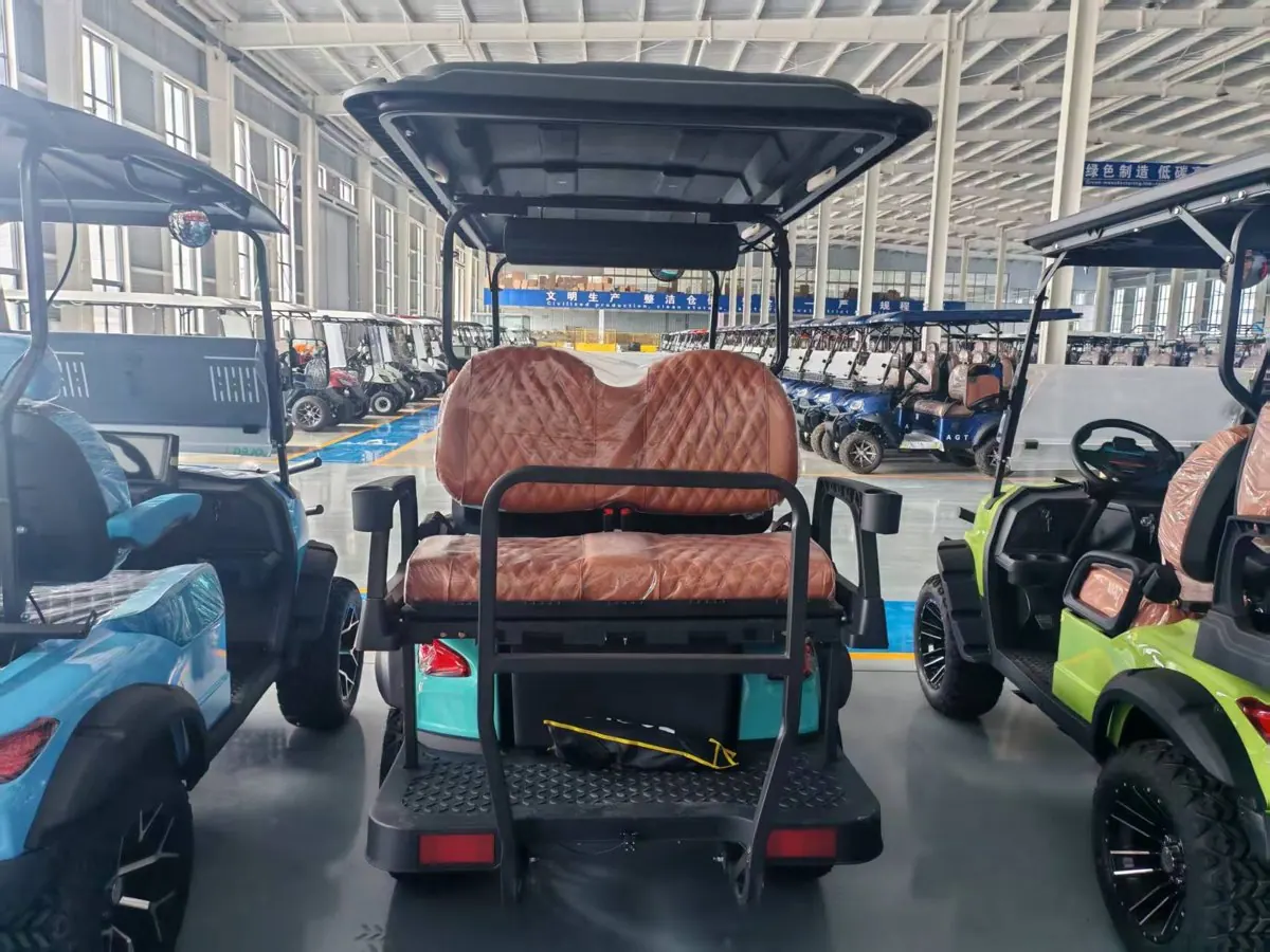 D Series 1+1 Row 4-Seat Golf Cart - Photo Variant 5