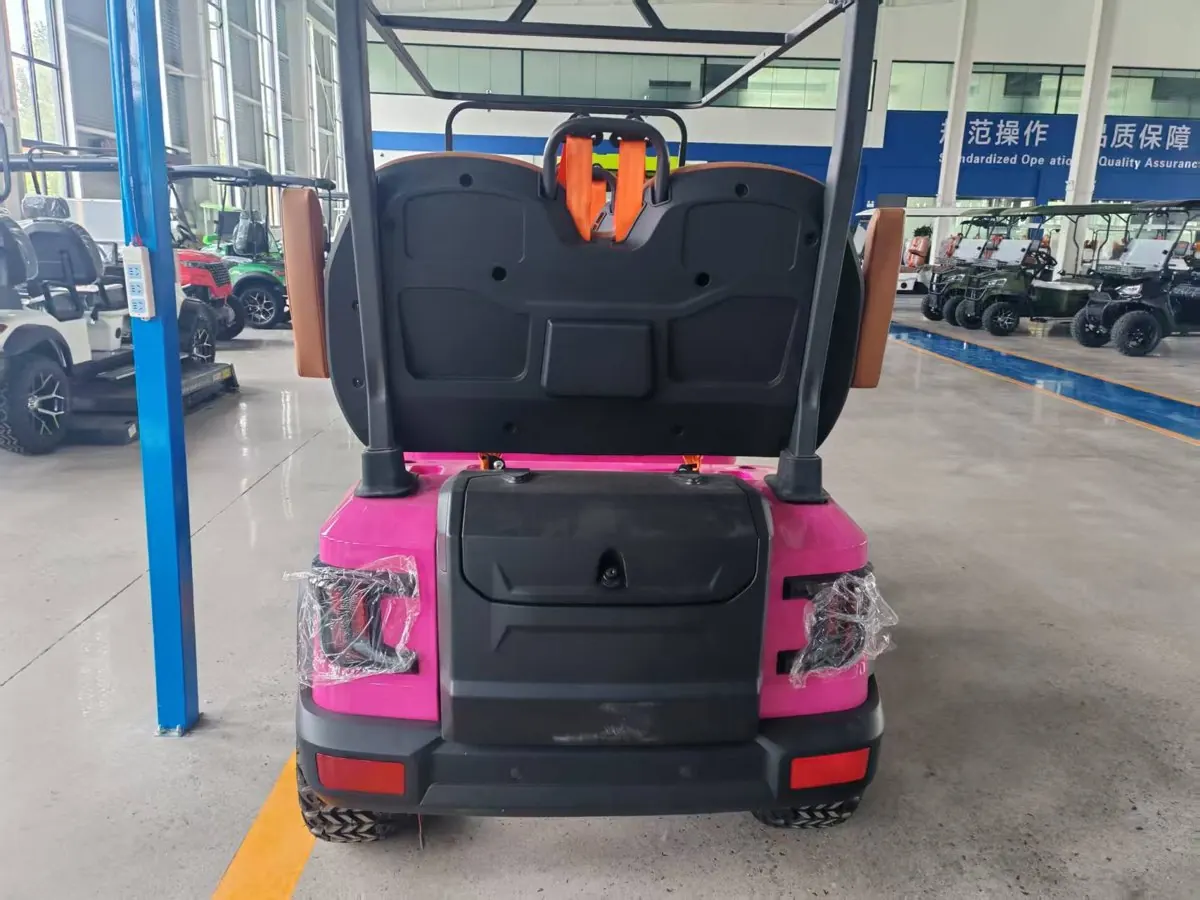BS Series Two-Row 4-Seat Golf Cart